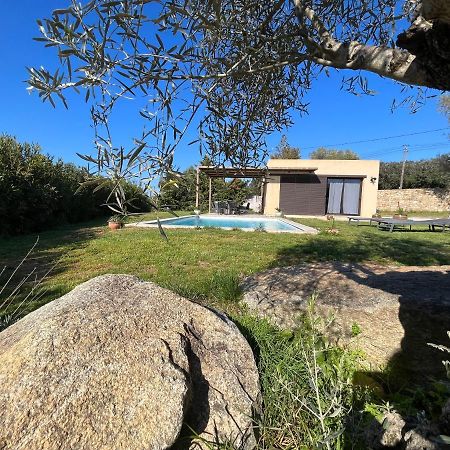 Villa Calisti Belgodère Εξωτερικό φωτογραφία