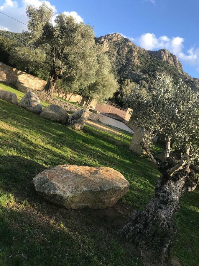 Villa Calisti Belgodère Εξωτερικό φωτογραφία
